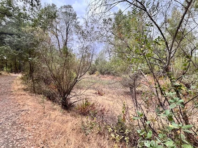 $339,000 | 0 Lower Wyandotte Road, Oroville, CA 95966