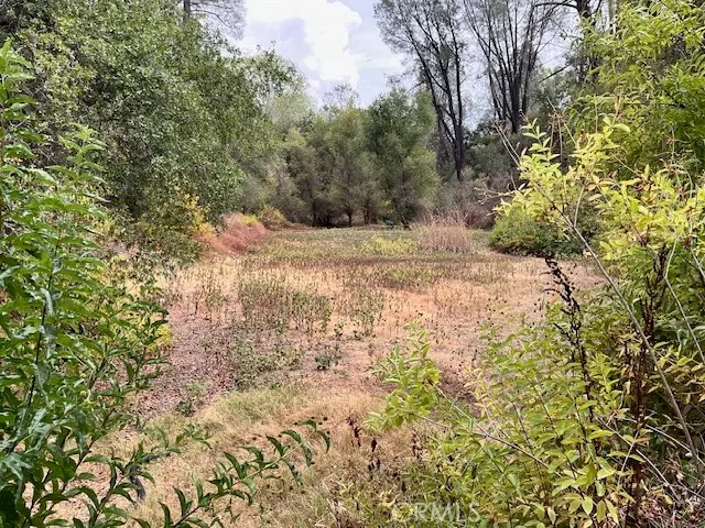 $339,000 | 0 Lower Wyandotte Road, Oroville, CA 95966
