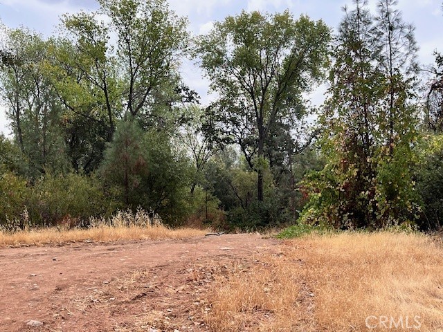 0 Lower Wyandotte Road Oroville, CA 95966 - Photo 19 of 22