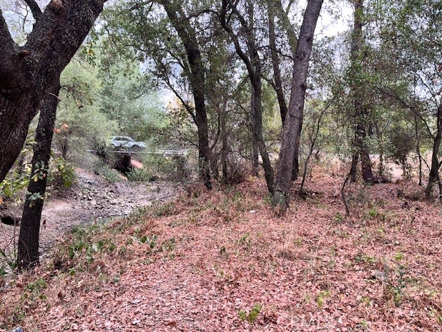 0 Lower Wyandotte Road Oroville, CA 95966 - Photo 22 of 22