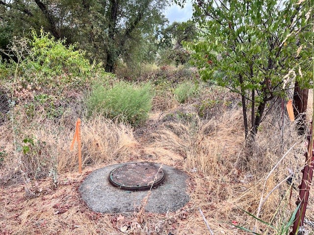 0 Lower Wyandotte Road Oroville, CA 95966 - Photo 3 of 22