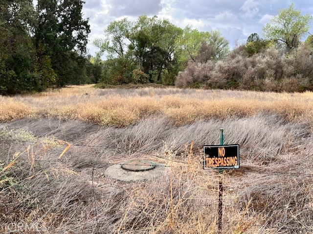 0 Lower Wyandotte Road Oroville, CA 95966 - Photo 5 of 22