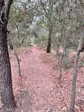 $339,000 | 0 Lower Wyandotte Road, Oroville, CA 95966