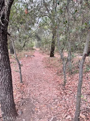 $339,000 | 0 Lower Wyandotte Road, Oroville, CA 95966