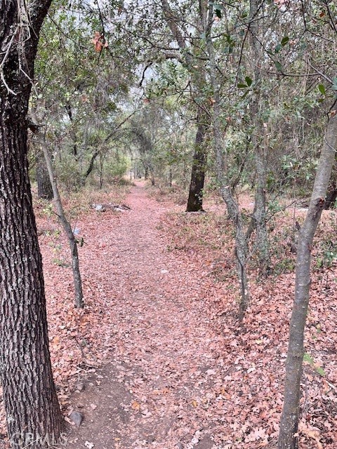 0 Lower Wyandotte Road Oroville, CA 95966 - Photo 10 of 22