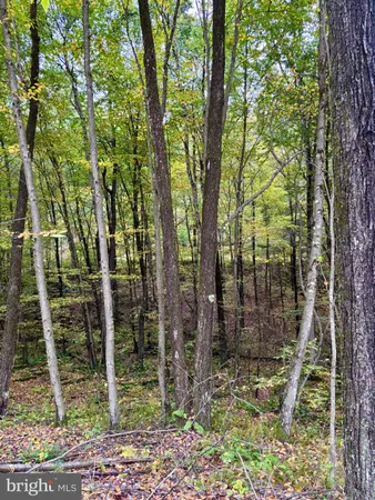 $179,000 | 1 Beech Creek Mountain Road, Beech Creek, PA 16822