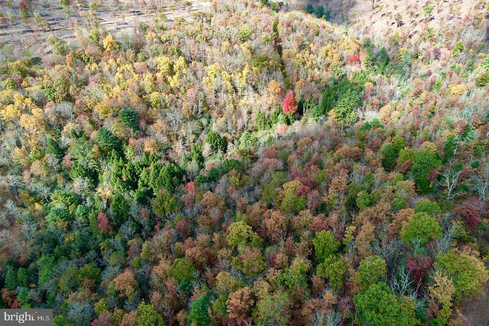 1 Beech Creek Mountain Road Beech Creek, PA 16822 - Photo 15 of 22 a view of a lush green field