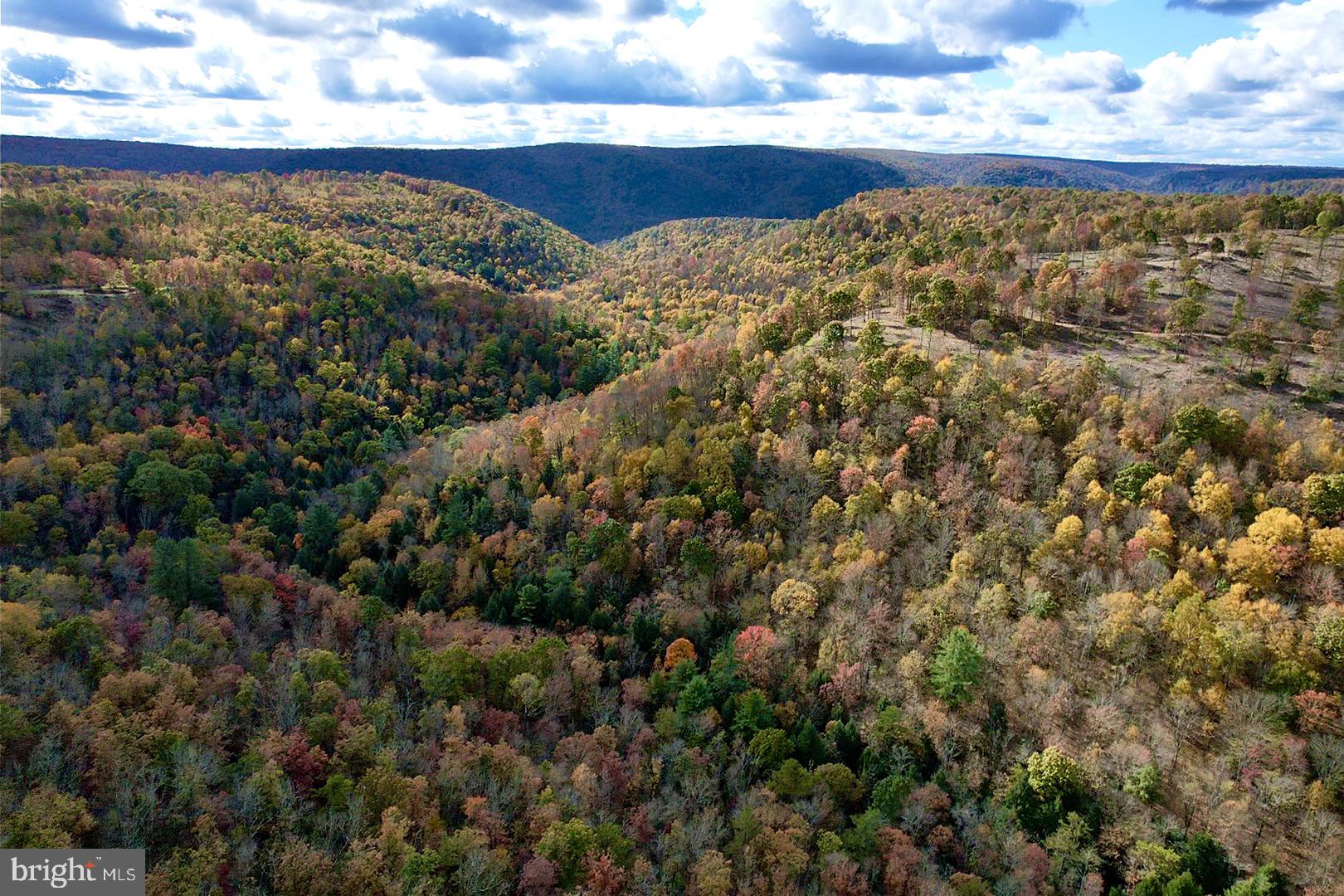1 Beech Creek Mountain Road Beech Creek, PA 16822 - Photo 16 of 22 a view of a field