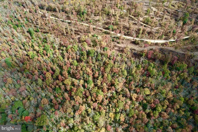 a view of city and mountain