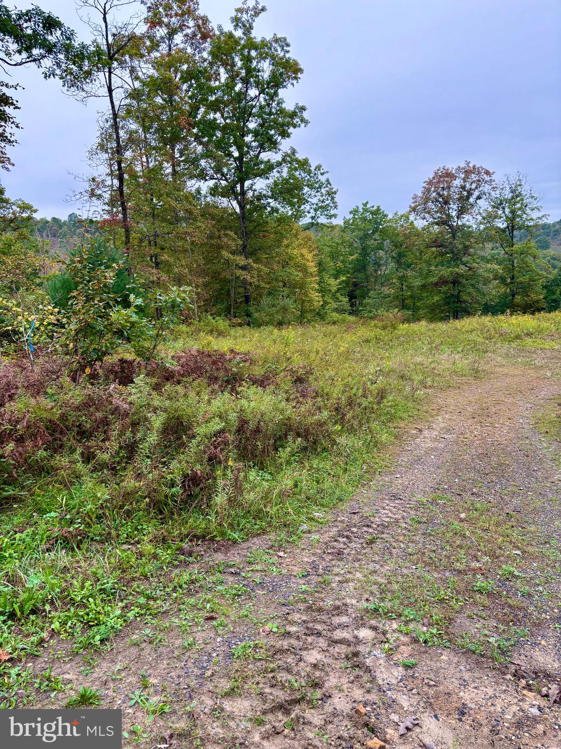 1 Beech Creek Mountain Road Beech Creek, PA 16822 - Photo 9 of 22 a view of a yard with a tree