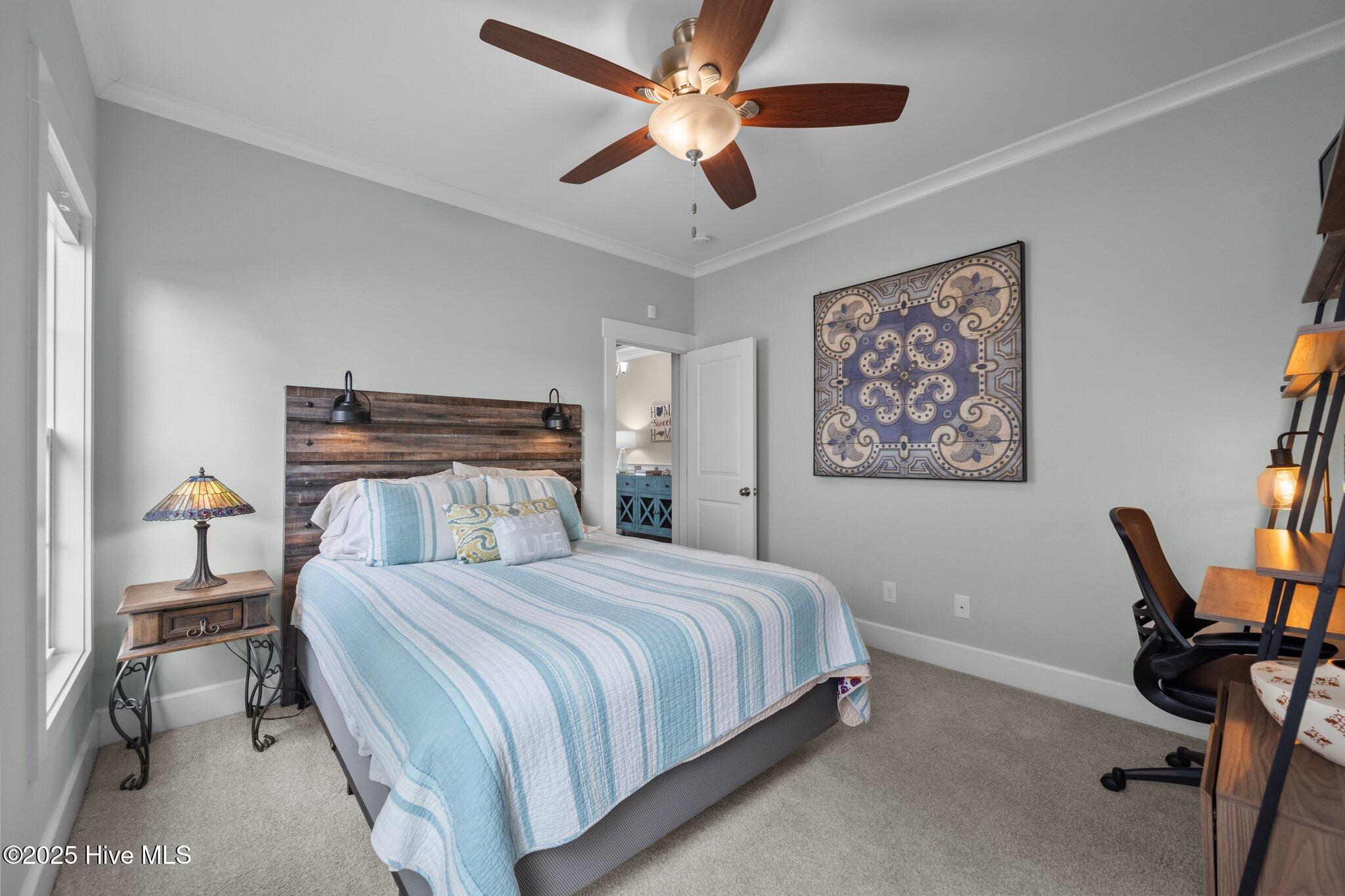 234 Summernights Way Holly Ridge, NC 28445 - Photo 30 of 84 9-web-or-mls-_RAD9423