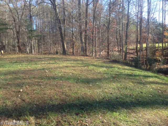 3298 Moores Spring Road Westfield, NC 27053 - Photo 7 of 8 Yard/Garden.