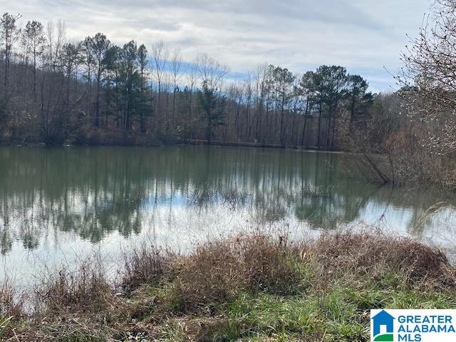 195 Wyatt Lake Road Odenville, AL 35120 - Photo 8 of 16