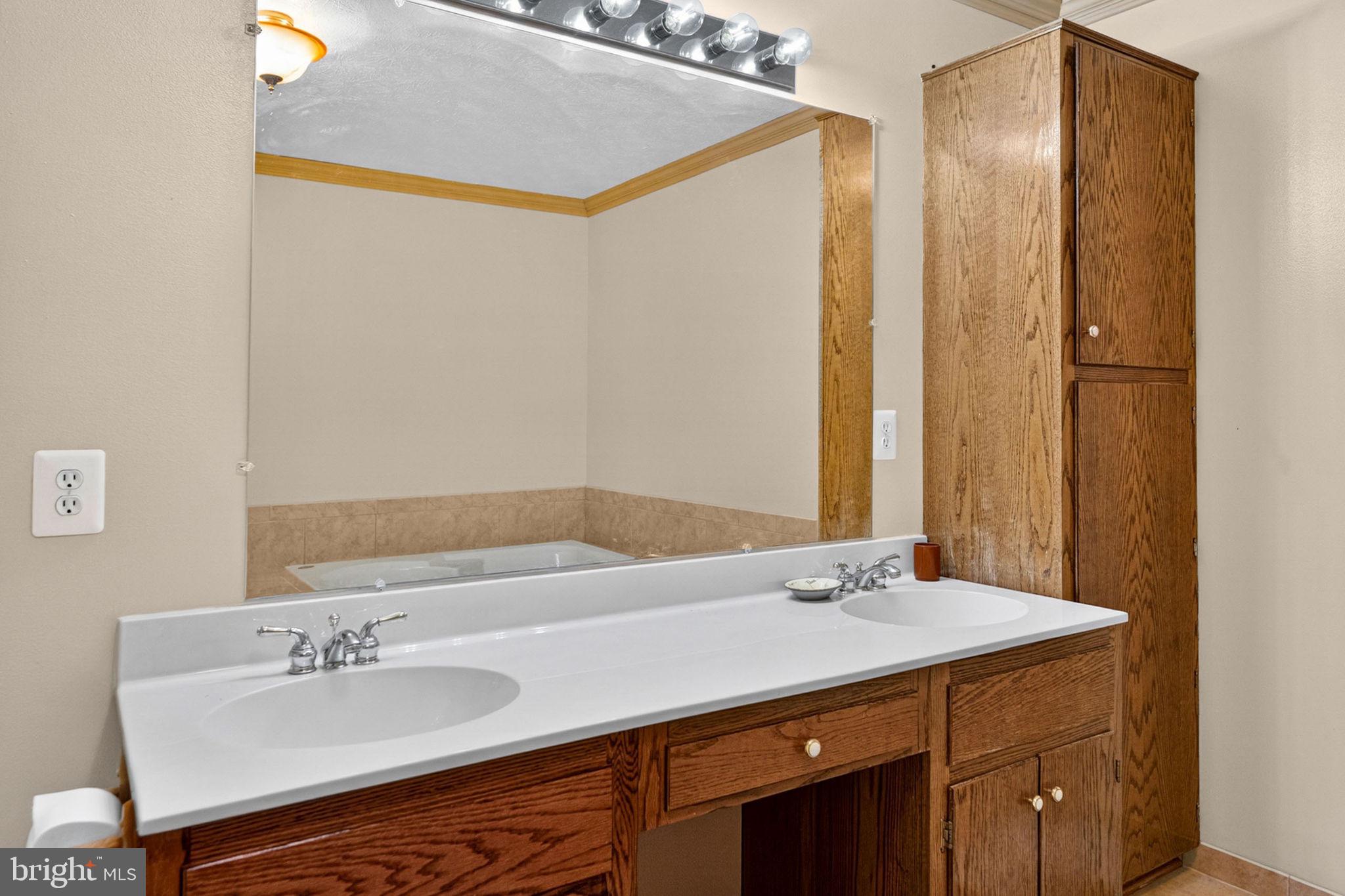 6315 Ida Road Stanley, VA 22851 - Photo 45 of 83 Primary En Suite Bathroom
