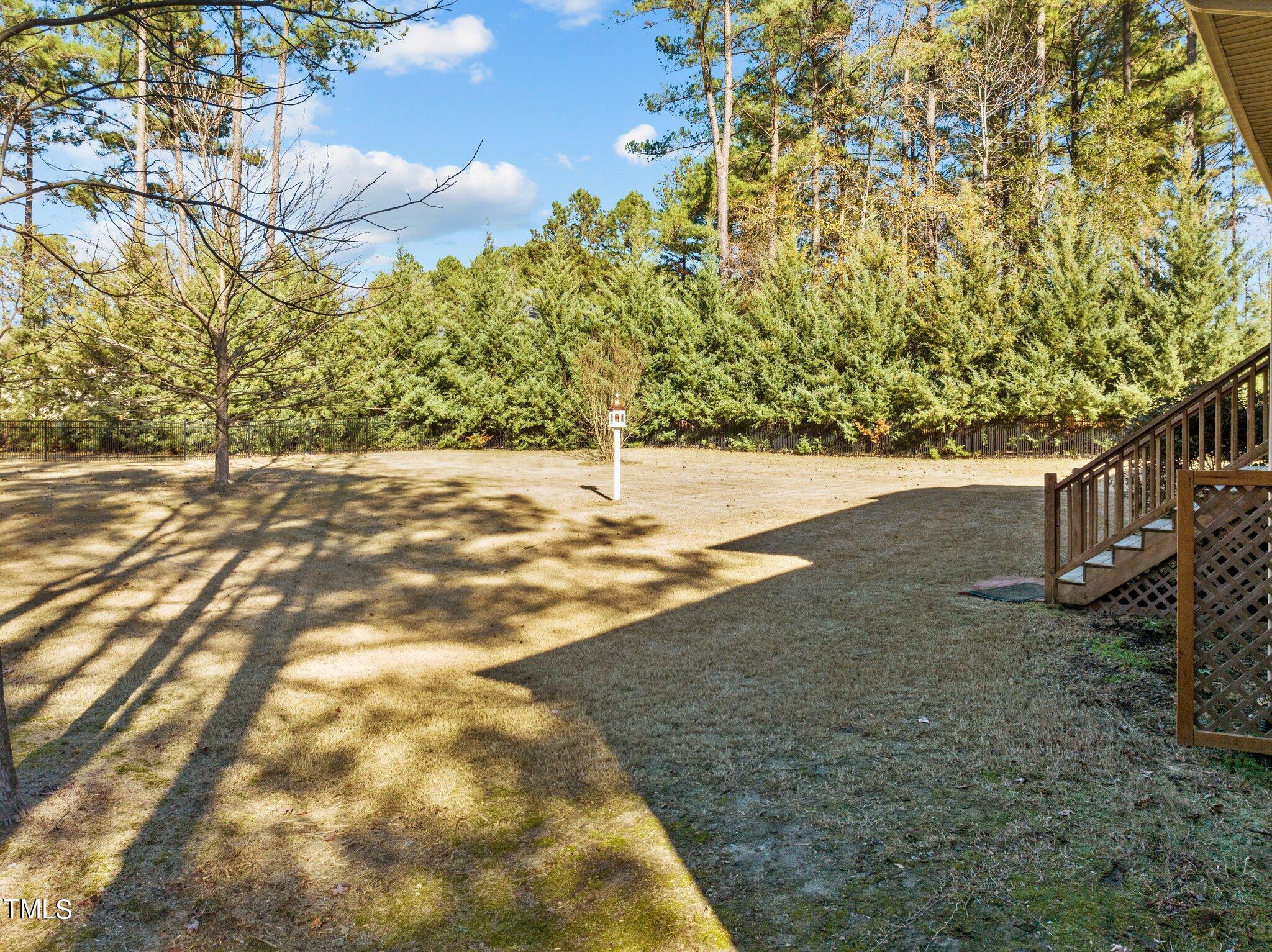 95 Windy Creek Drive Willow Spring, NC 27592 - Photo 45 of 55 a view of yard with tree in the background