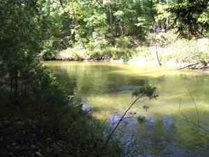 8650 East Barothy Road Branch, MI 49402 - Photo 3 of 6 Additional Photo