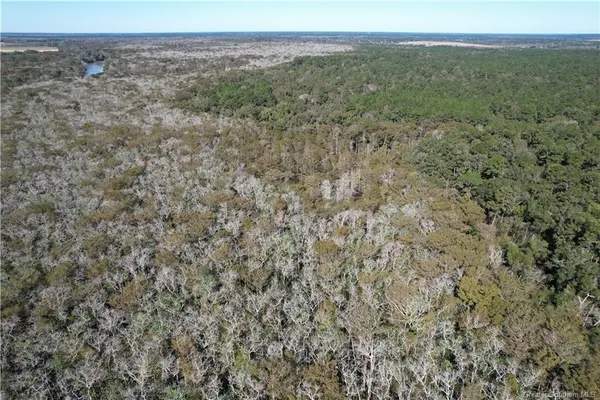 $175,000 | 0 Ferry Road, Egan, LA 70531