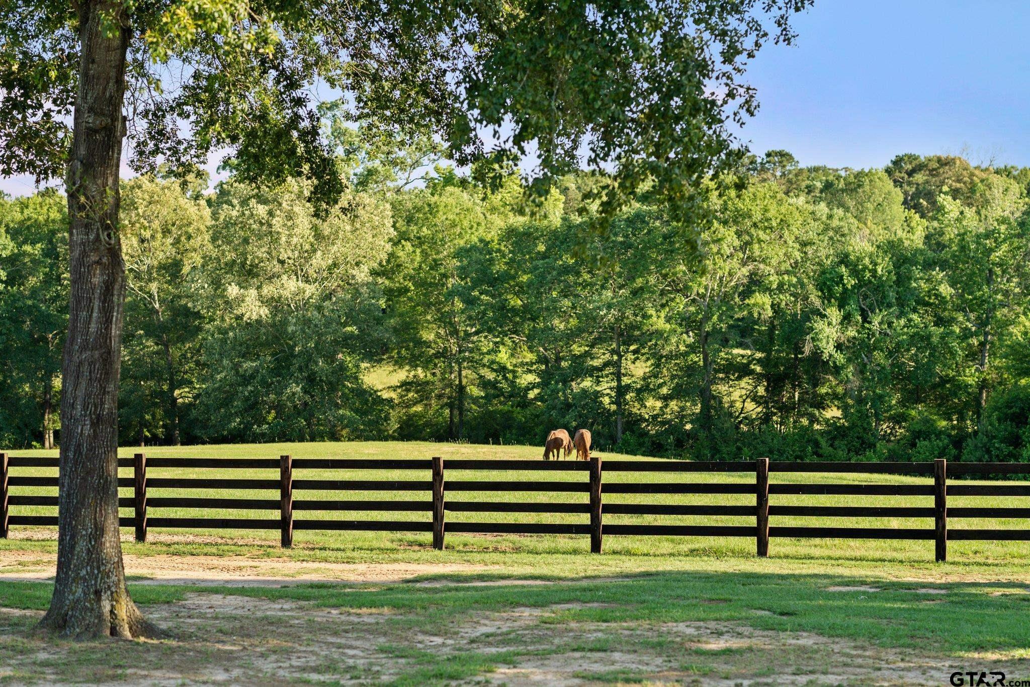 1852 Northridge Road Longview, TX 75605 - Photo 46 of 47