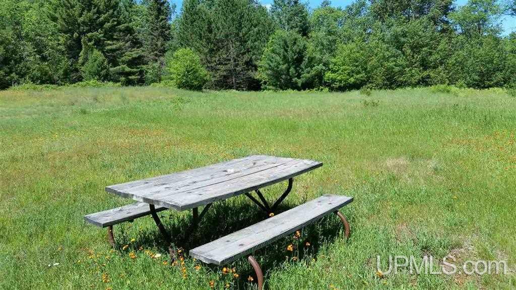 11111 Buckler Road Felch, MI 49877 - Photo 13 of 18