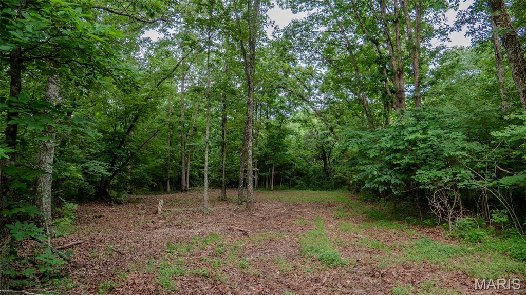 0 Hwy M Cabool, MO 65689 - Photo 22 of 68