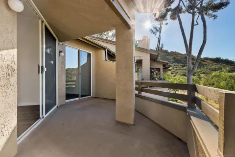 a view of a room with rack and plants
