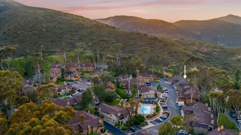 a view of a park with large trees