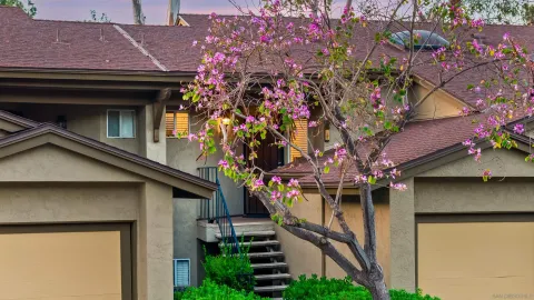 a view of a field with a tree