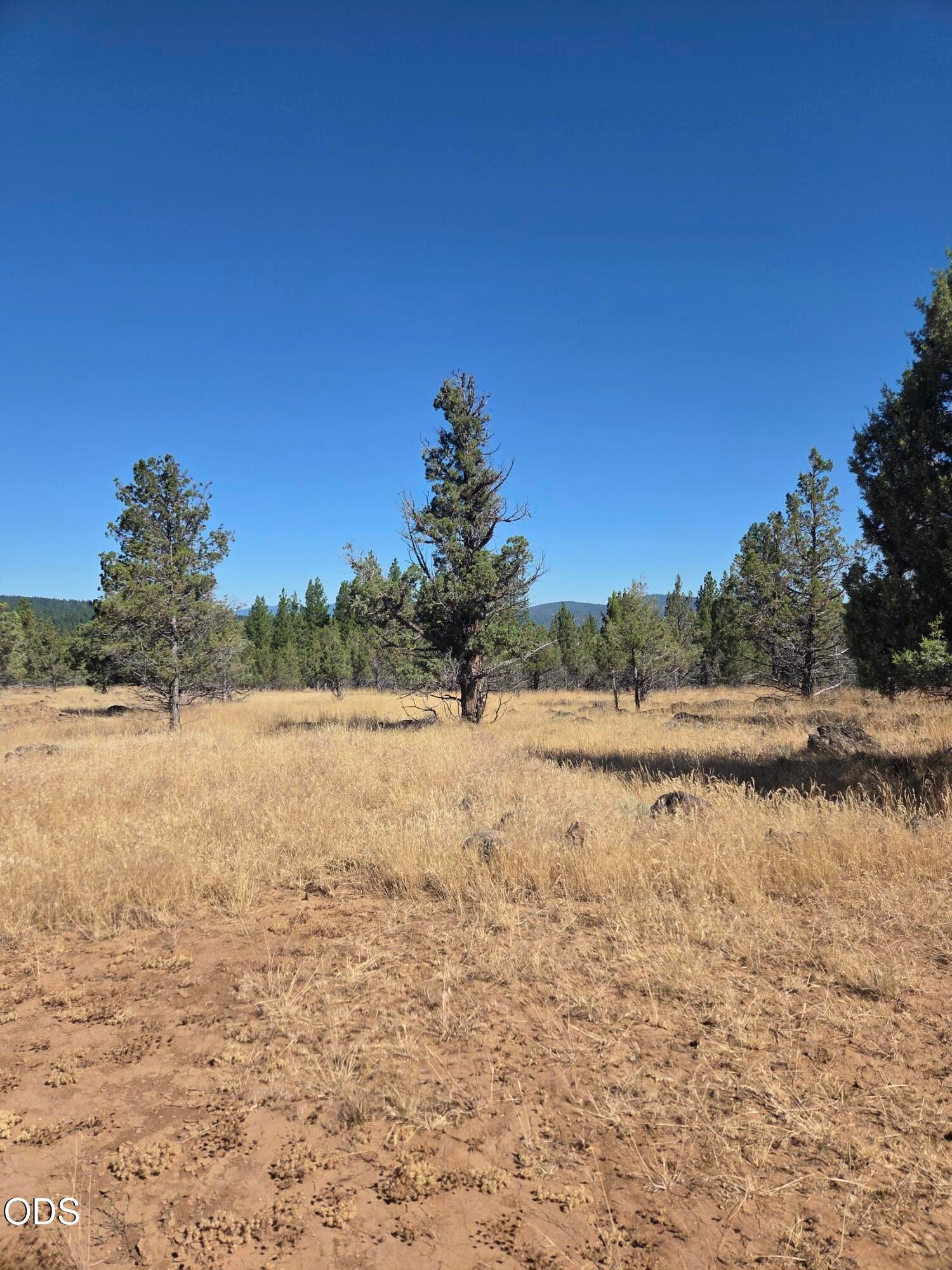0 Knollcrest Road, Unit 20 ACRES Klamath Falls, OR 97603 - Photo 8 of 22 Gallery Image 8