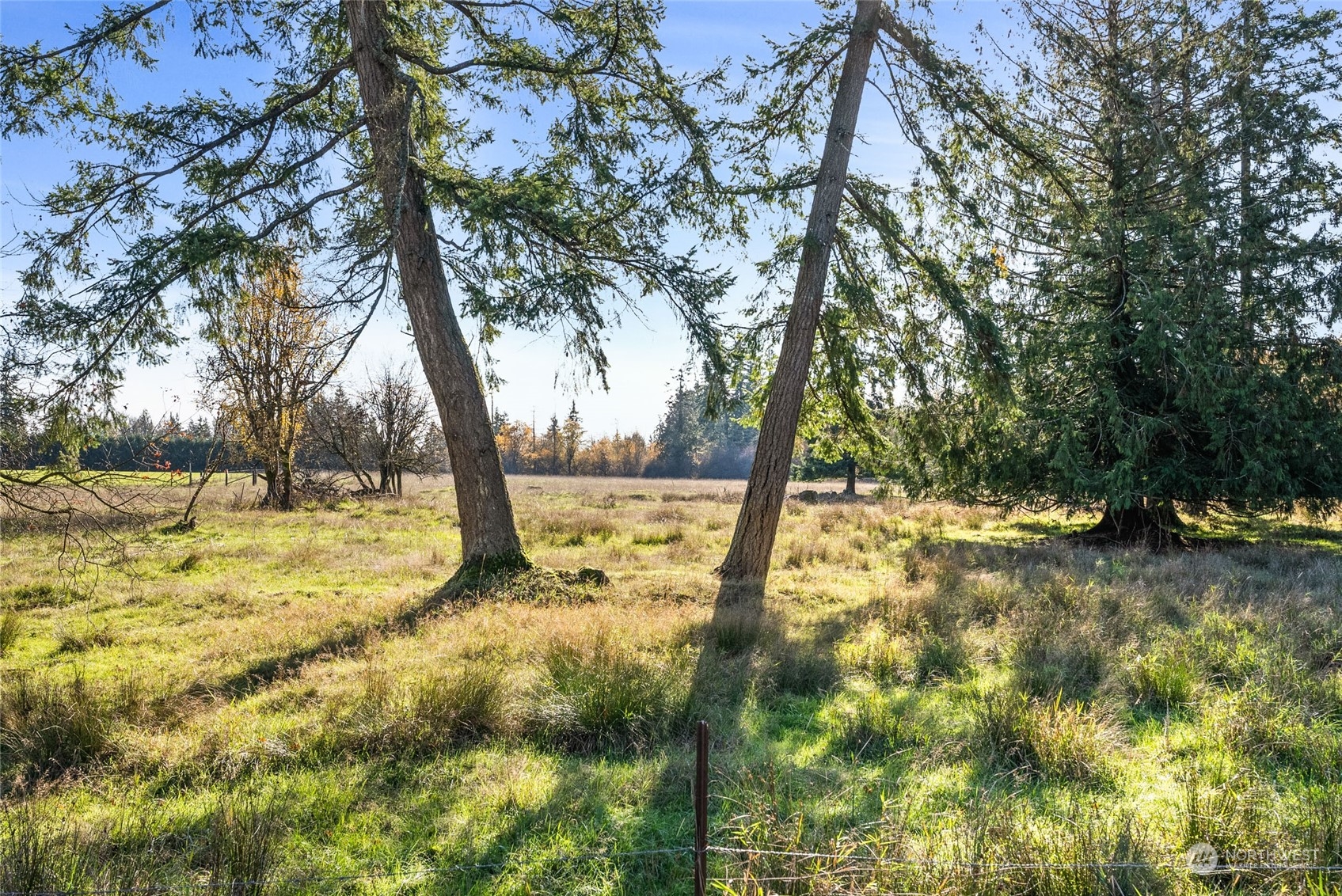 0 Hart Road Winlock, WA 98596 - Photo 15 of 15