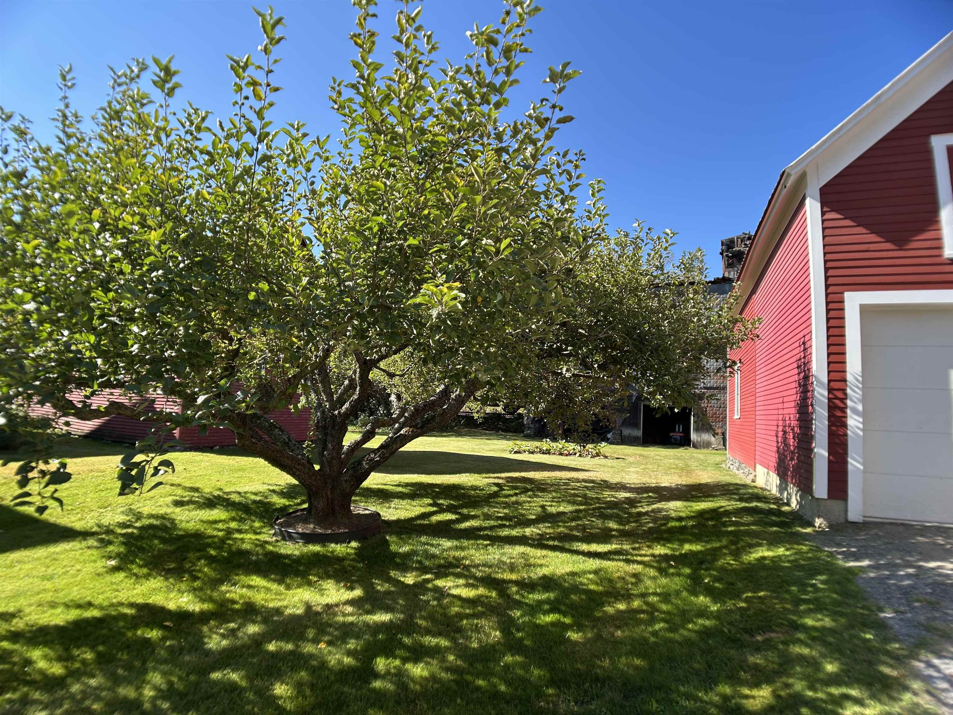 447 Elm Street Chester, VT 05143 - Photo 3 of 29