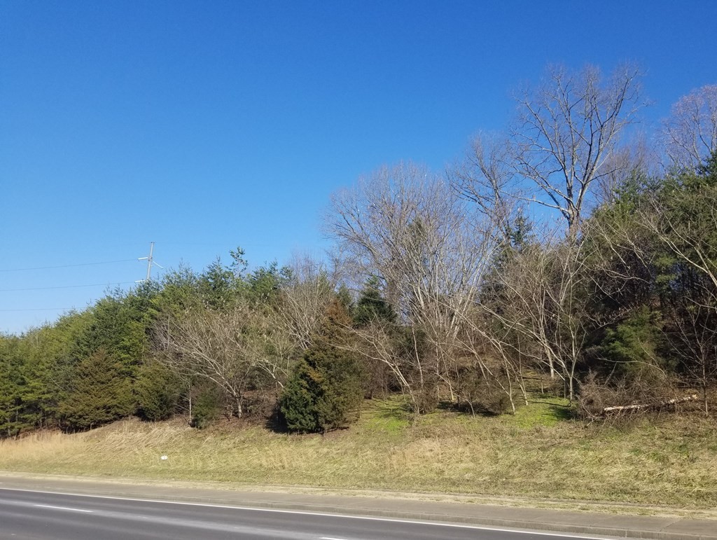 0 Center View Road Pigeon Forge, TN 37862 - Photo 9 of 19