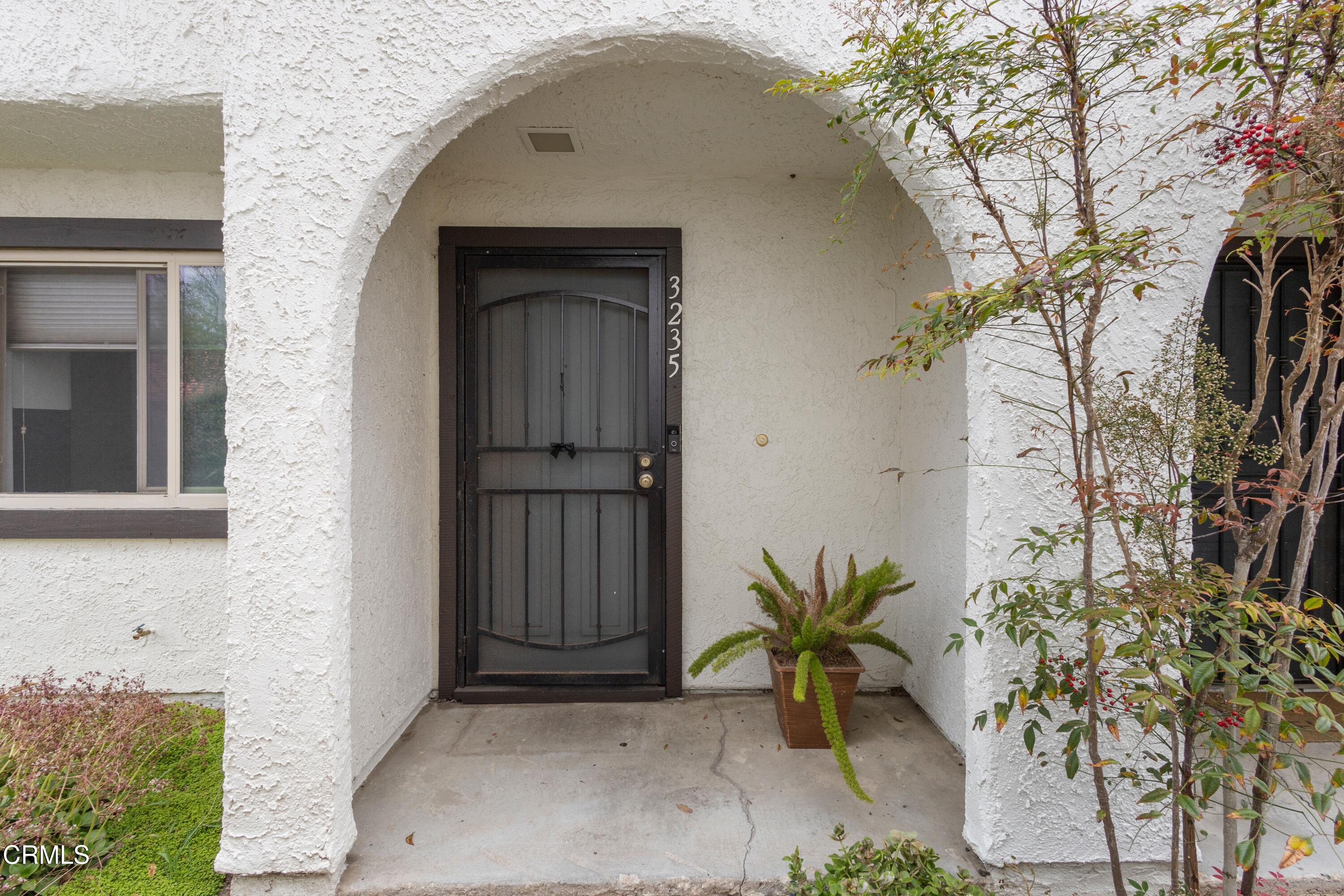 3235 Kelp Lane Oxnard, CA 93035 - Photo 4 of 22 a potted plant in front of a door