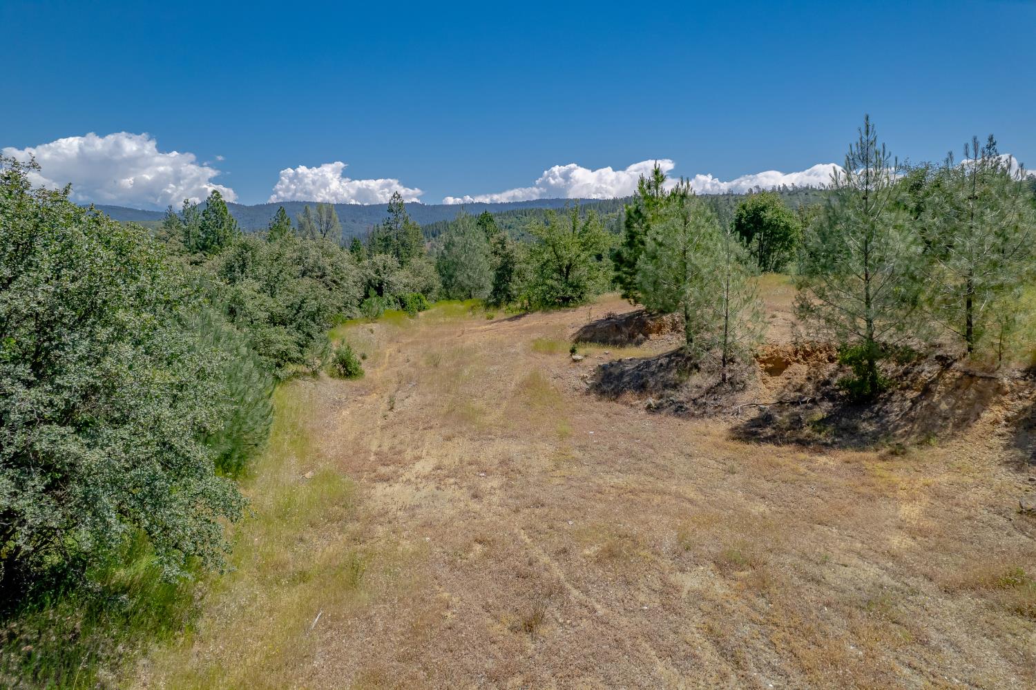 9343 Marysville Road Oregon House, CA 95962 - Photo 17 of 27