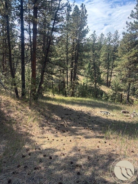 Lot 17 Skibstad Road Road Columbus, MT 59019 - Photo 18 of 28 Gallery Image 18