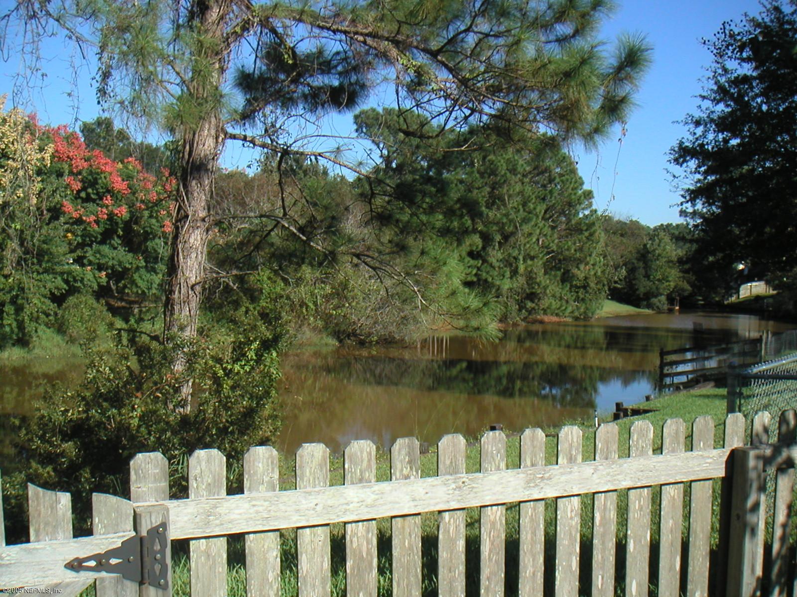 Pond View