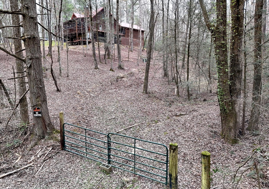 2587 Goose Island Road Ellijay, GA 30540 - Photo 53 of 62