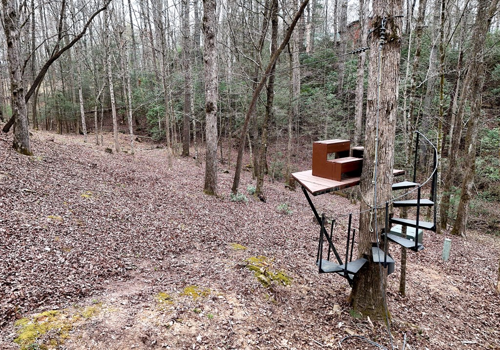 2587 Goose Island Road Ellijay, GA 30540 - Photo 58 of 62