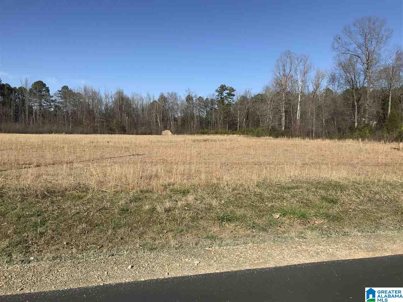 0 Fox Valley Farms Road, Unit 1 Alabaster, AL 35114 - Photo 8 of 8