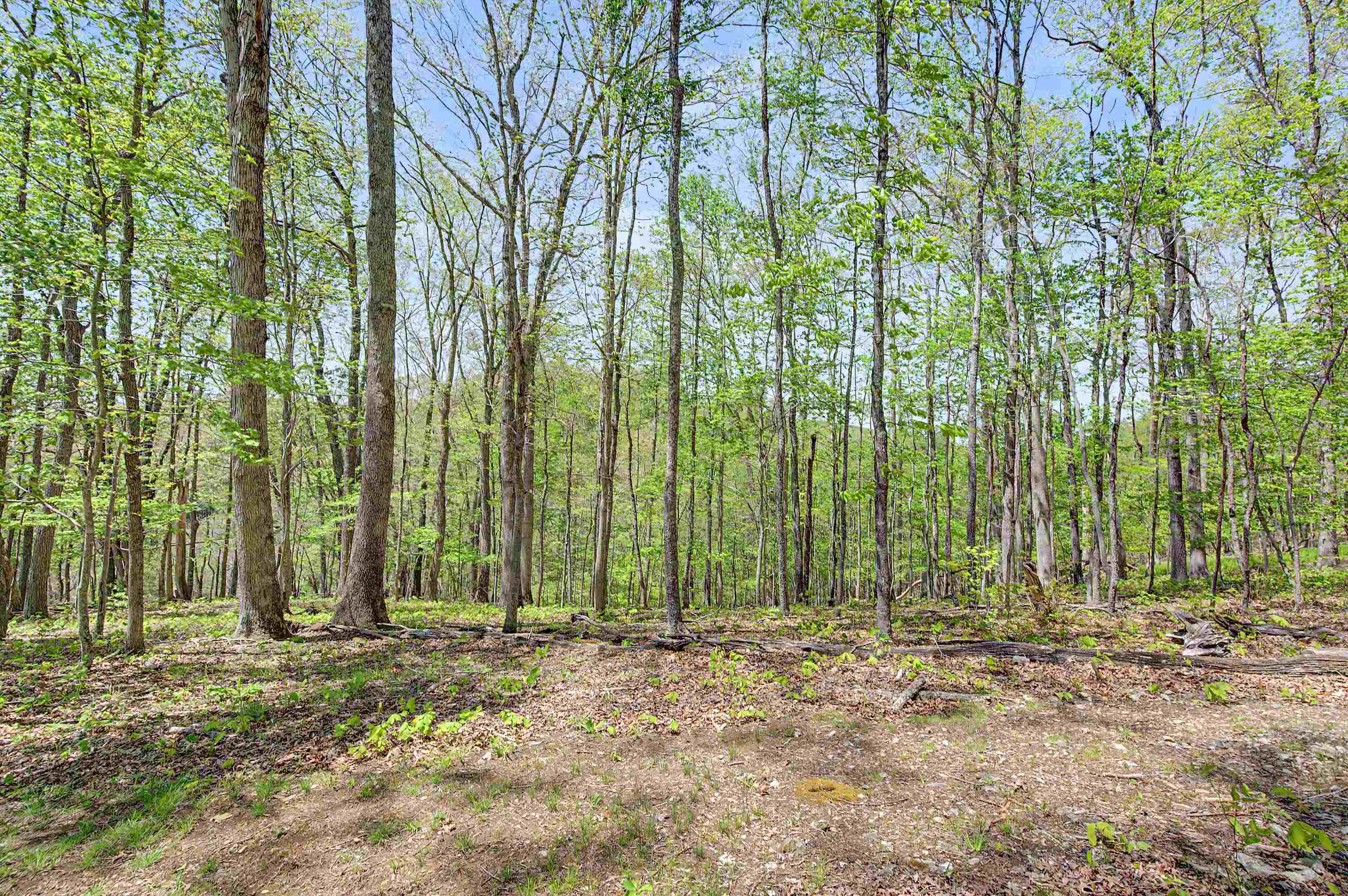805 Sunset River Road Ceres, VA 24318 - Photo 50 of 78 Gallery Image 50