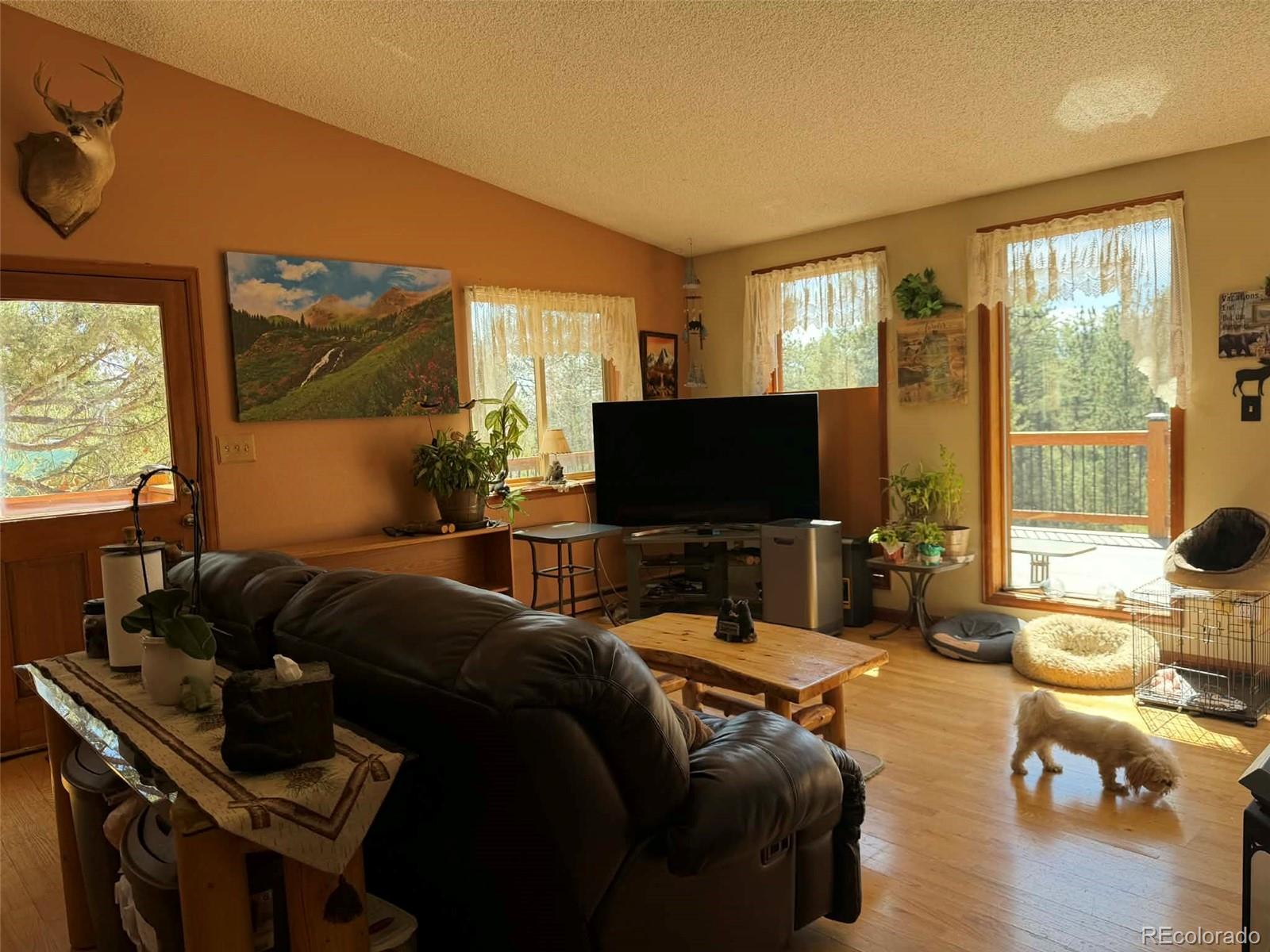 33623 Smith Road Pine, CO 80470 - Photo 8 of 47 Gallery Image 8
