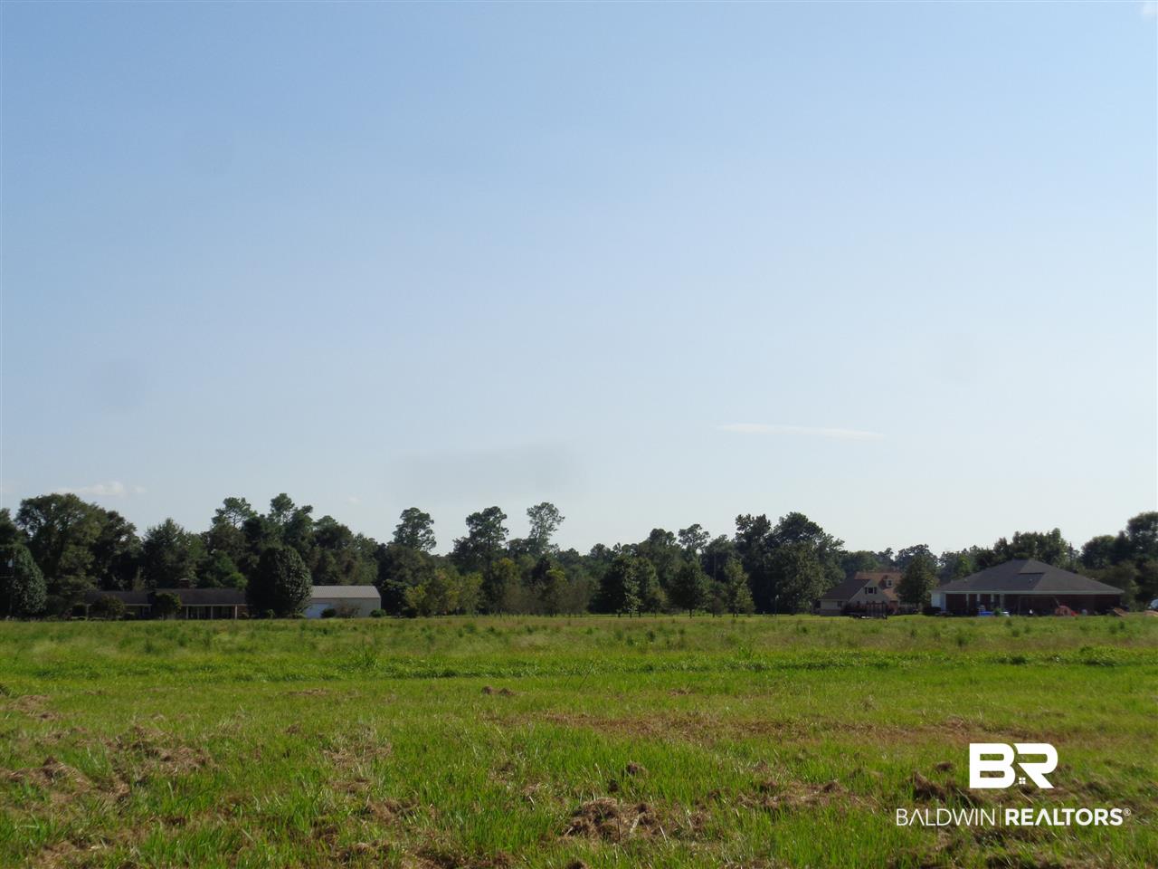 0 Old Bratt Road Atmore, AL 36502 - Photo 2 of 11