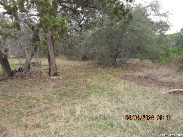 959 Alamo Beach Road Pipe Creek, TX 78063 - Photo 25 of 35