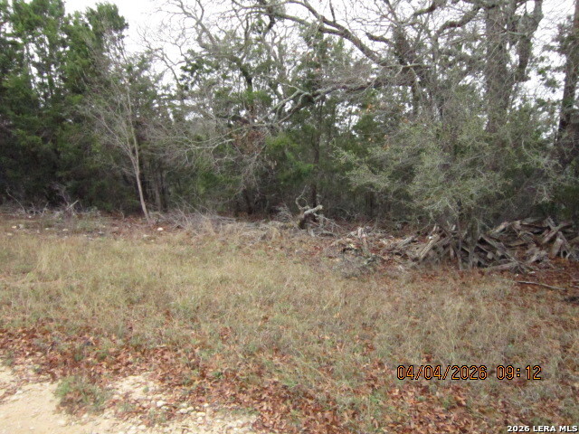 959 Alamo Beach Road Pipe Creek, TX 78063 - Photo 31 of 35