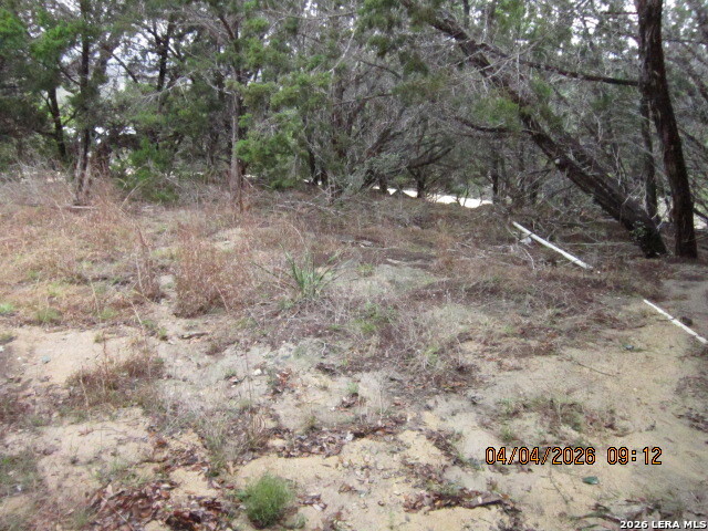 959 Alamo Beach Road Pipe Creek, TX 78063 - Photo 32 of 35