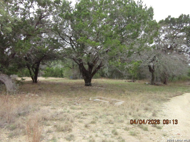 959 Alamo Beach Road Pipe Creek, TX 78063 - Photo 8 of 35