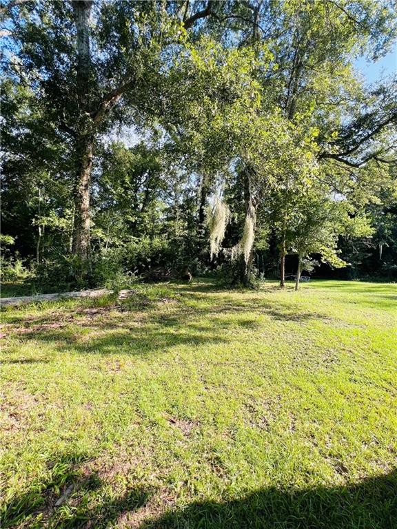 21270 Diversion Canal Road St. Amant, LA 70774 - Photo 26 of 28