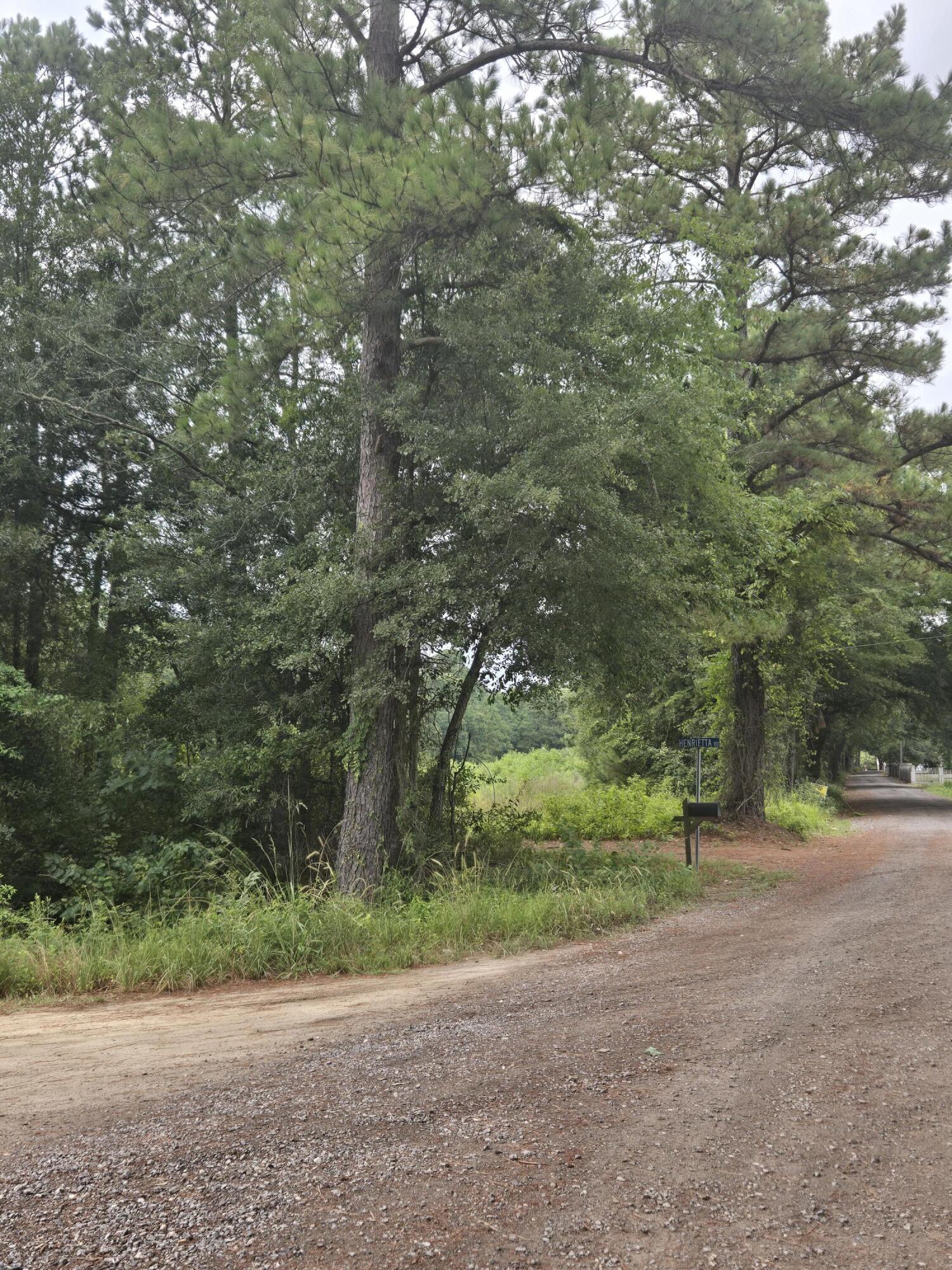 0 Rodenberry Road Cross, SC 29436 - Photo 2 of 8 1000003119