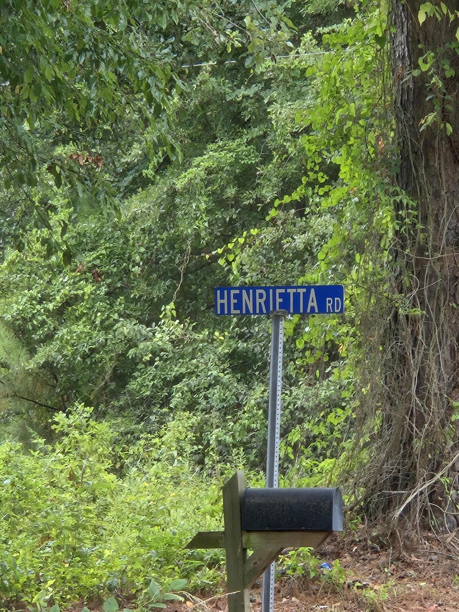 0 Rodenberry Road Cross, SC 29436 - Photo 3 of 8 20240712_111801