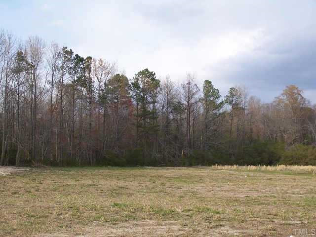 4891 Rains Crossroads Road, Unit LT 8 Kenly, NC 27542 - Photo 2 of 2 Other