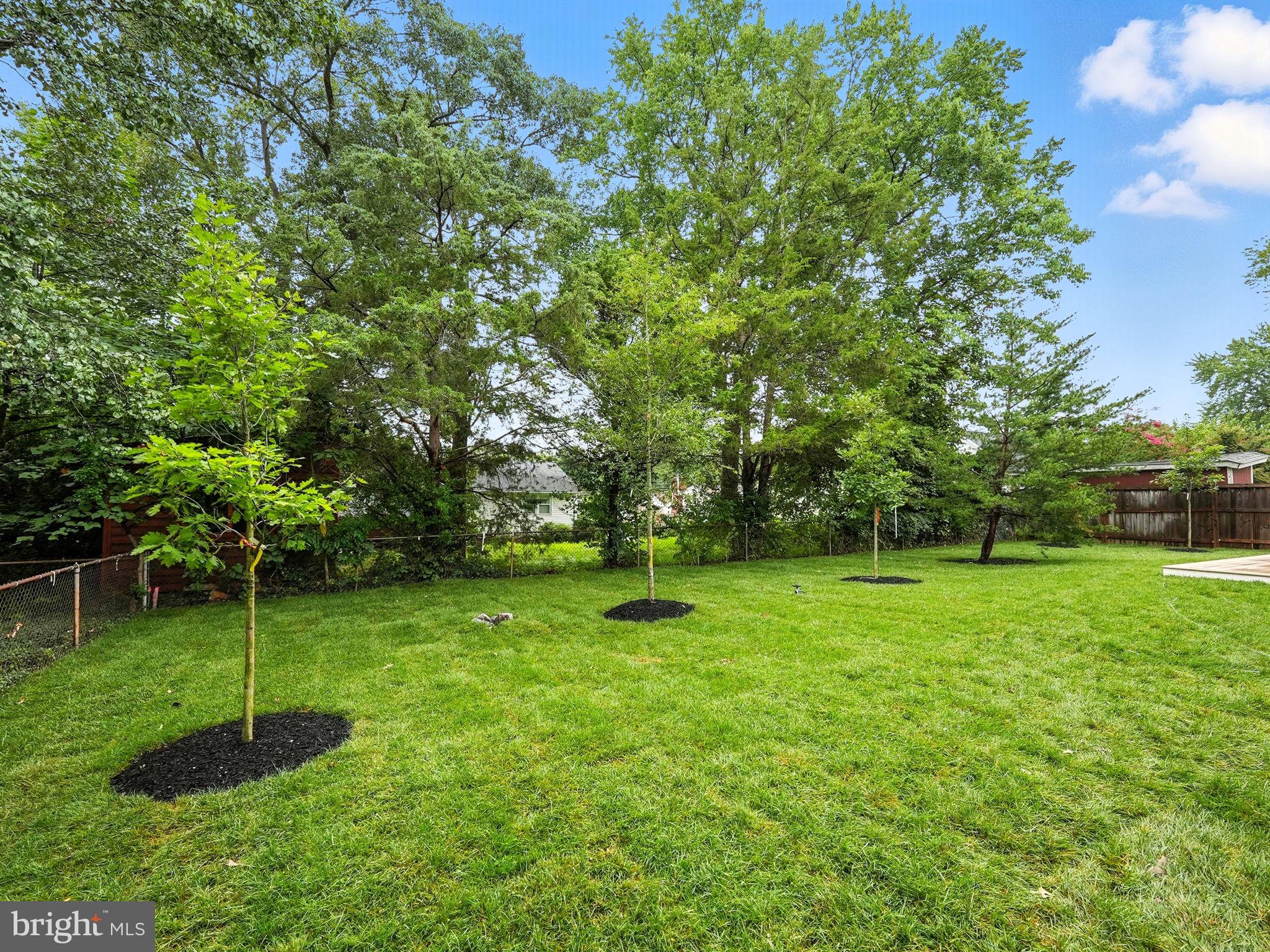 8118 Drayton Lane Springfield, VA 22151 - Photo 66 of 71